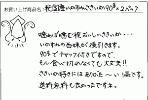 いかすみさきいかへのご感想を頂きました。